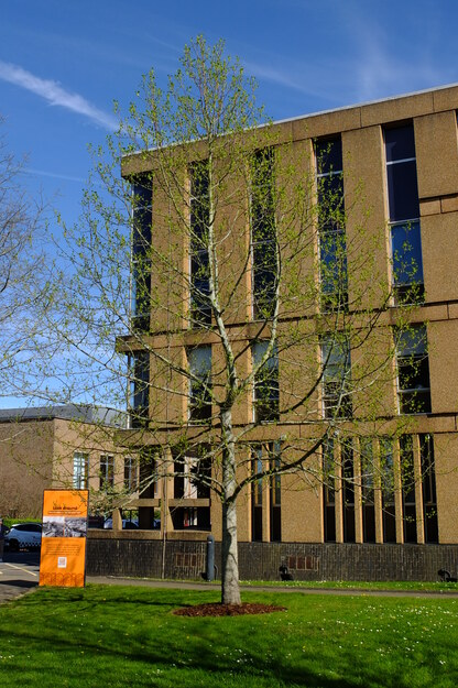 April tree photo