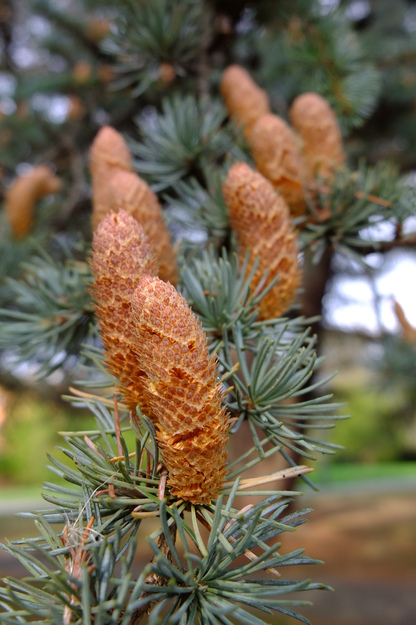September close-up photo