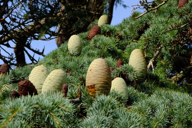 September close-up photo