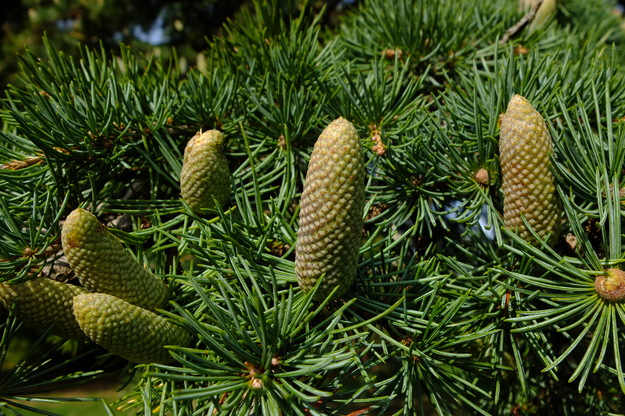 September close-up photo