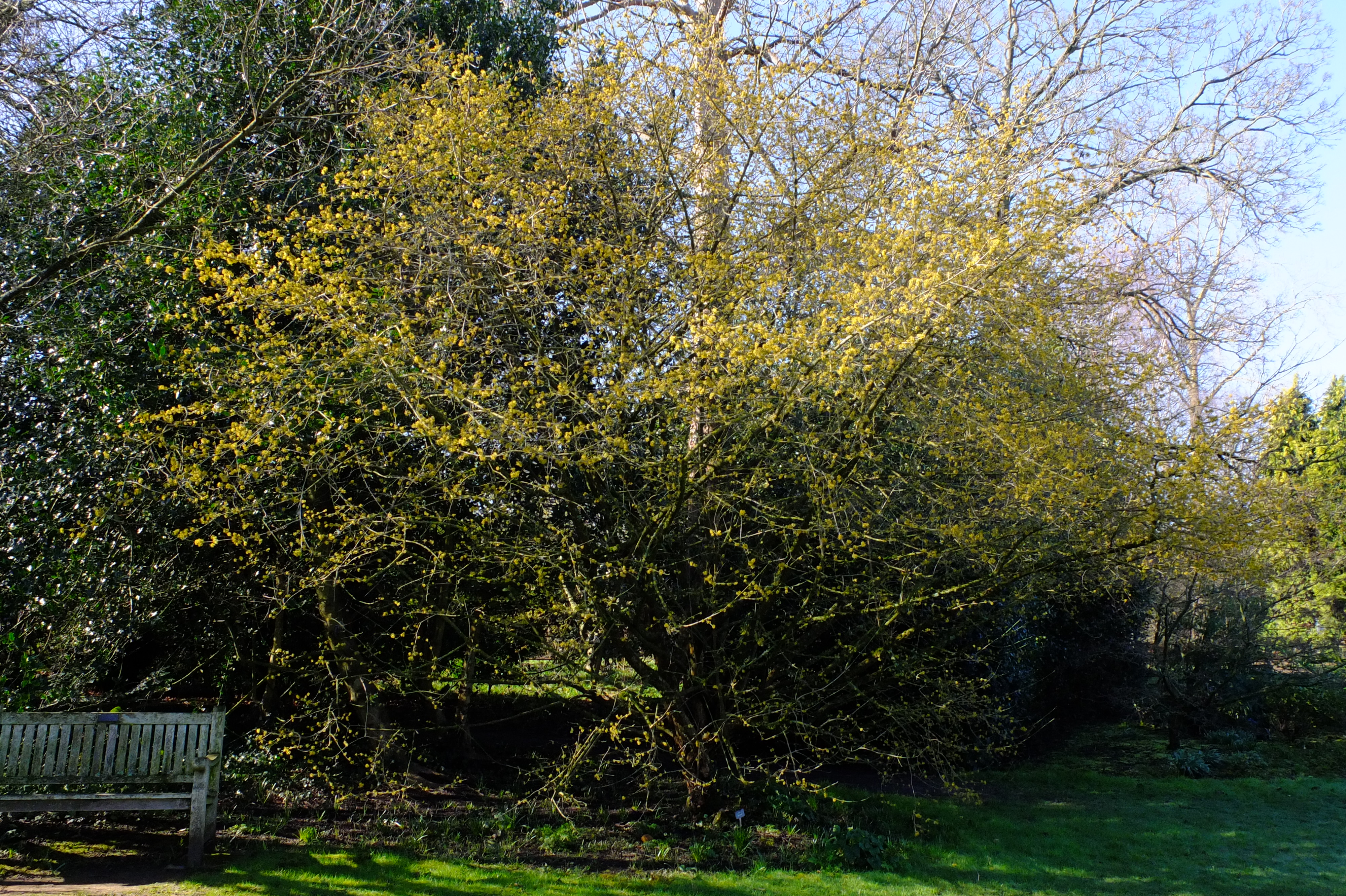 full-size image