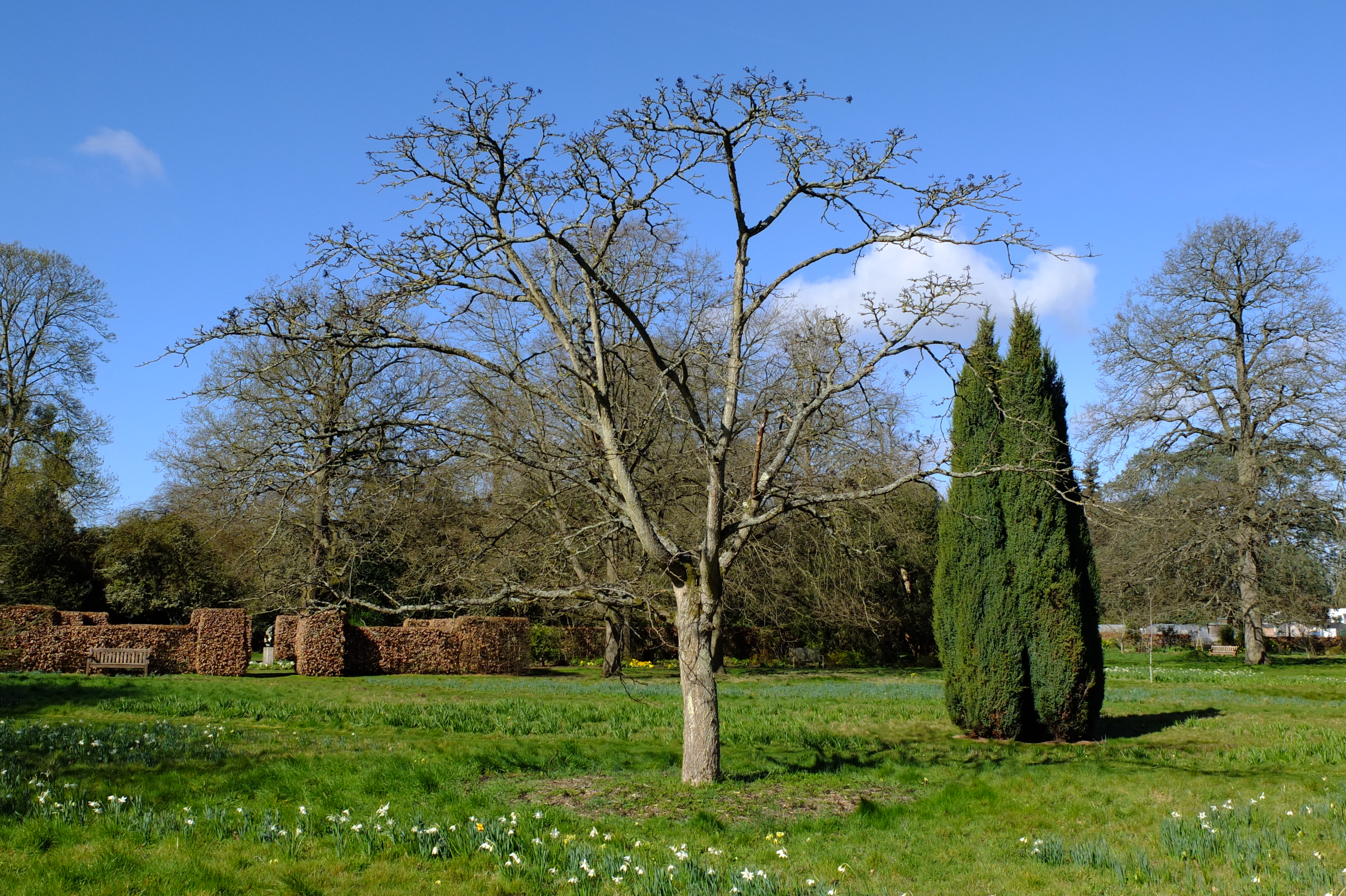 full-size image