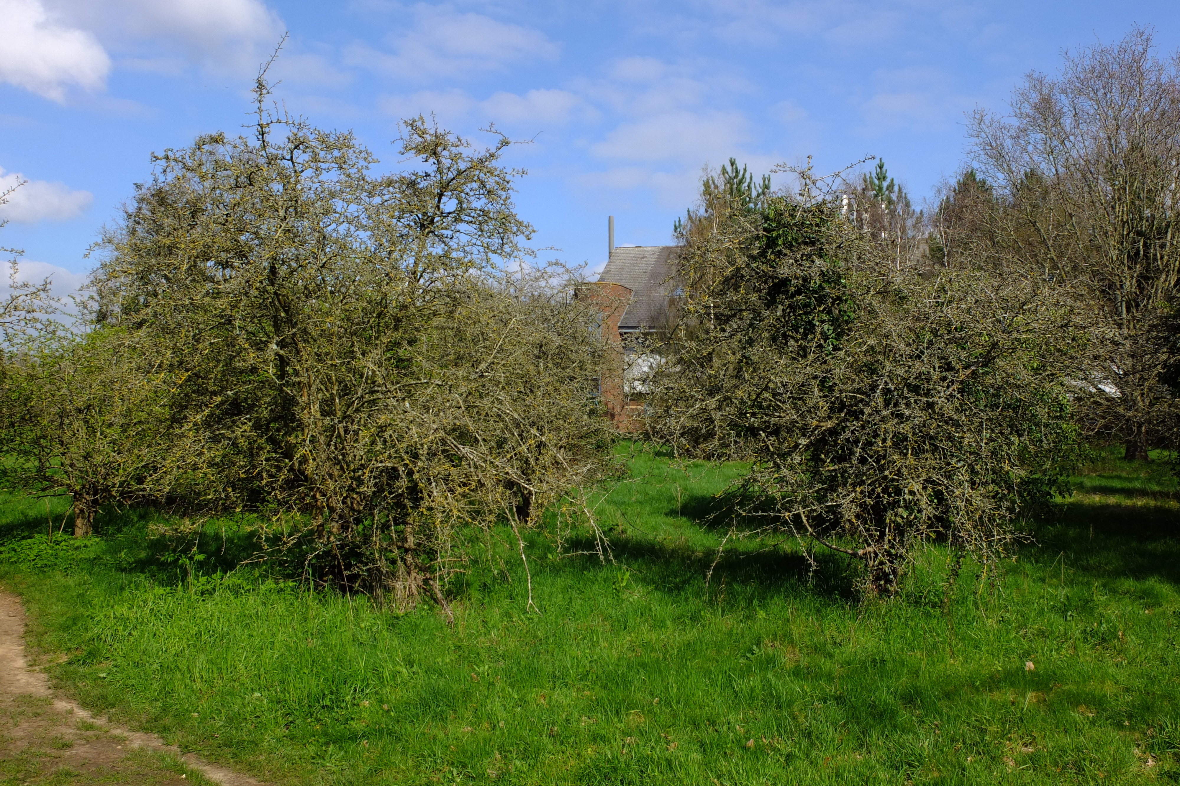 full-size image
