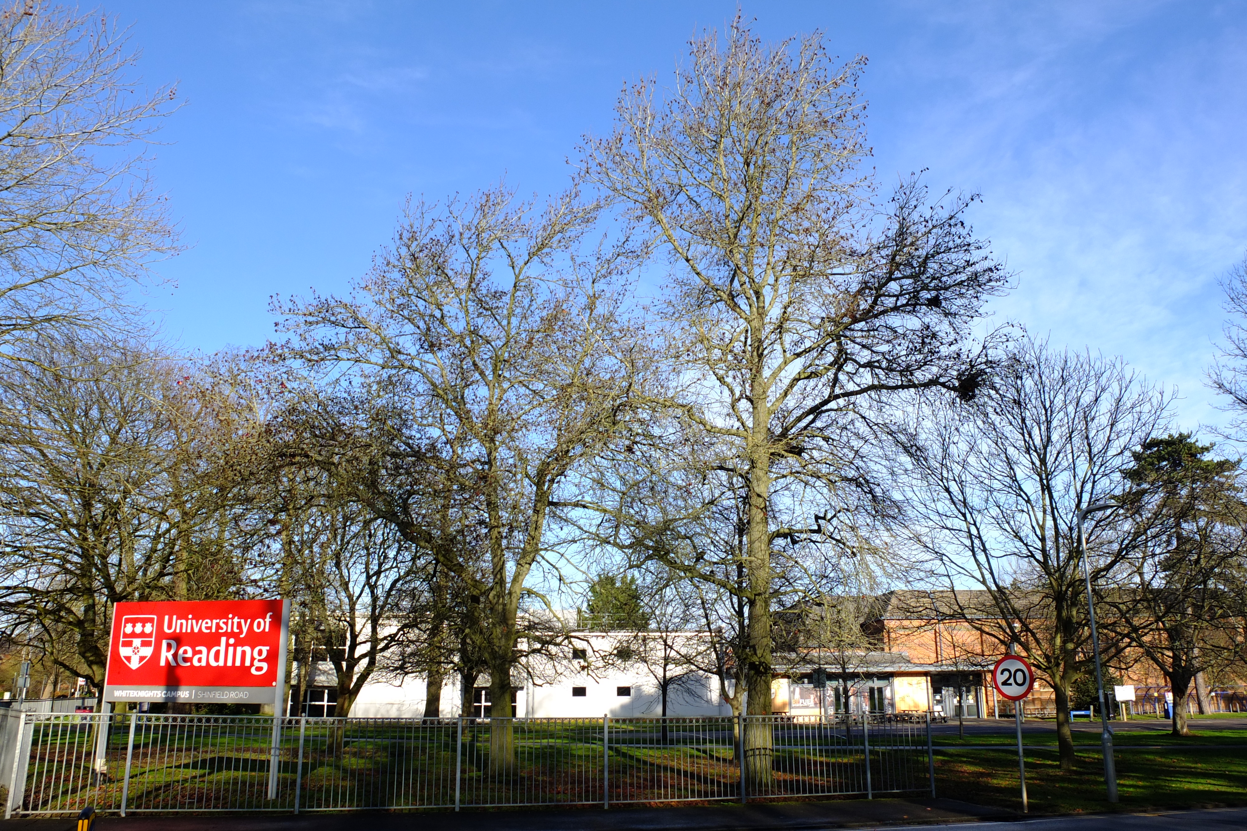 full-size image