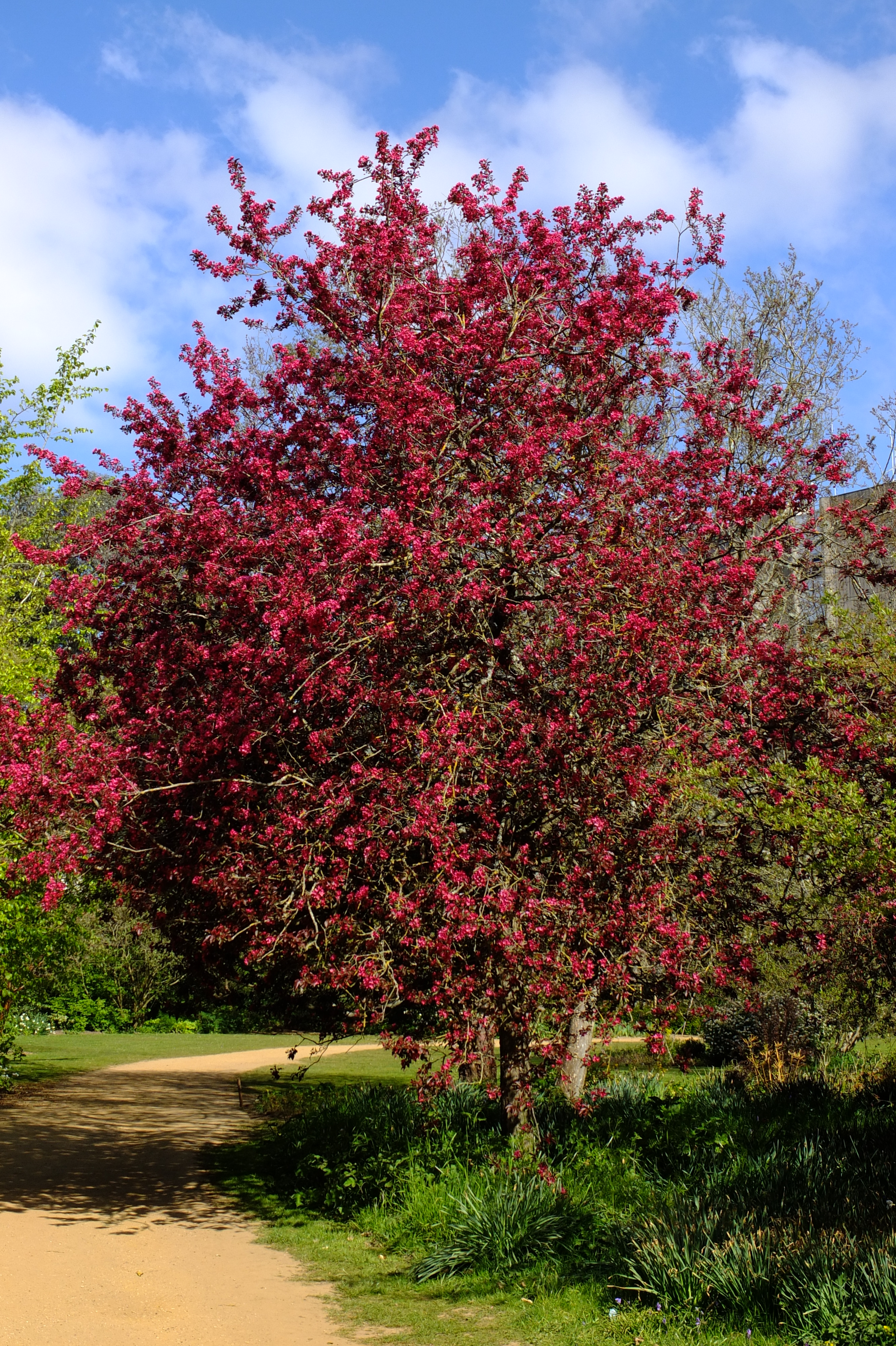 full-size image