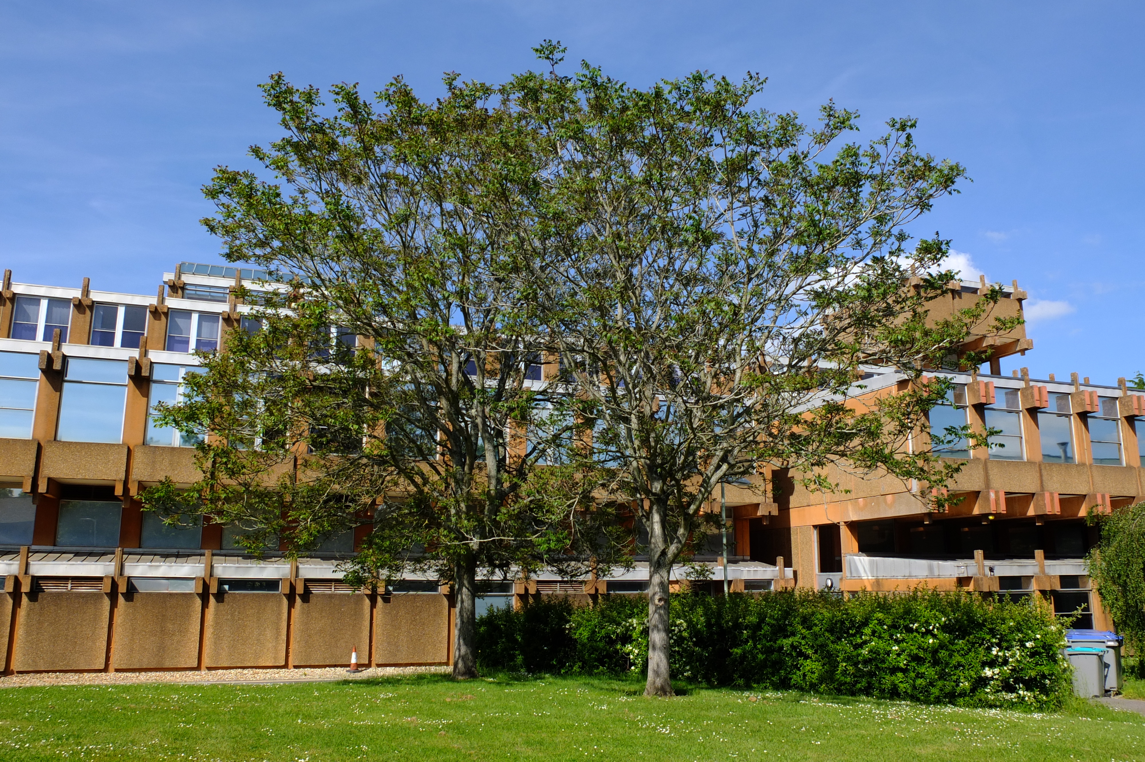 full-size image