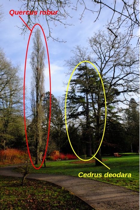 directions