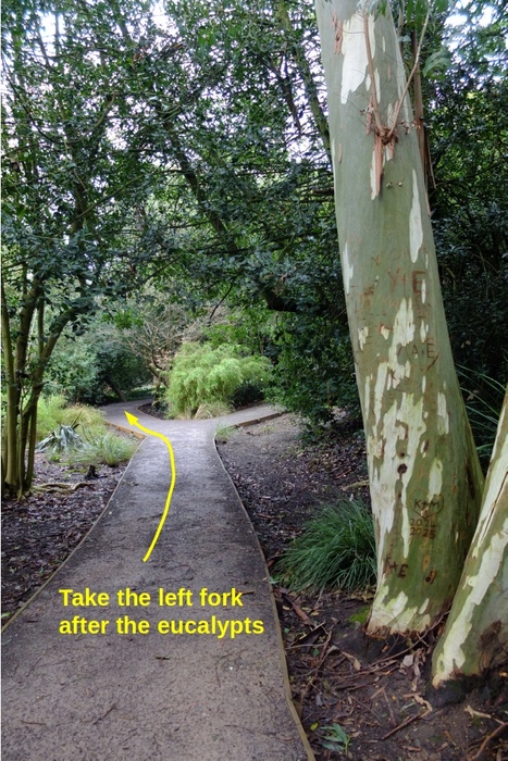 directions