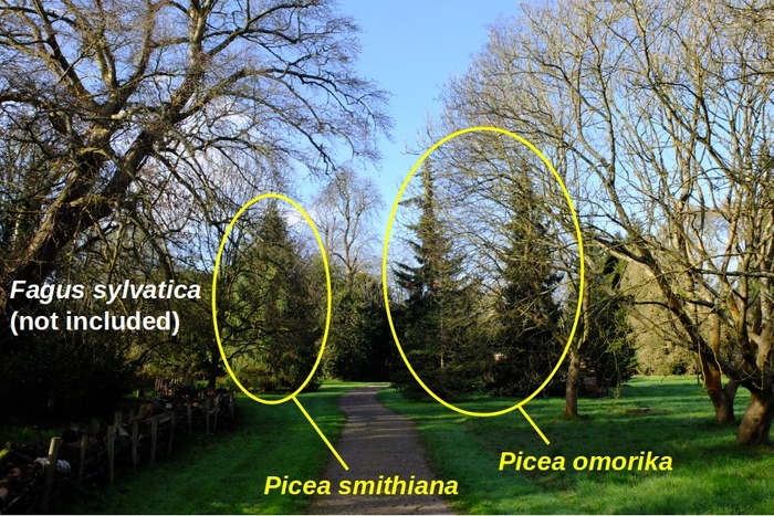 directions