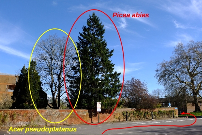 Photo giving directions for the route