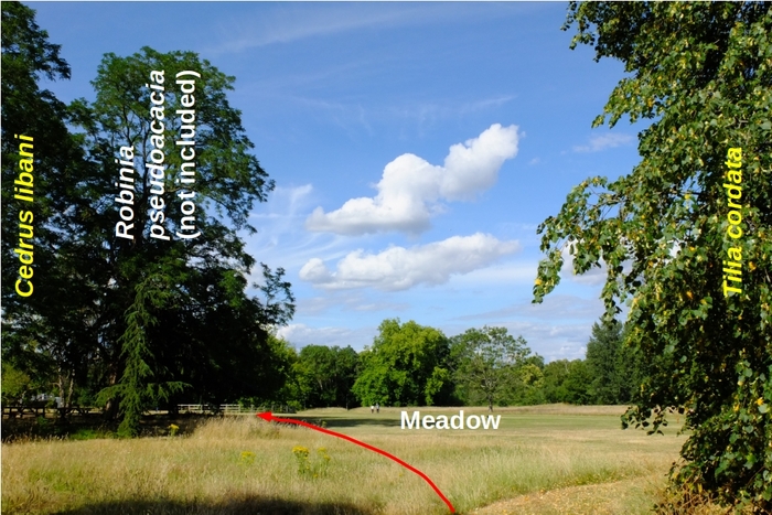 Photo giving directions for the route