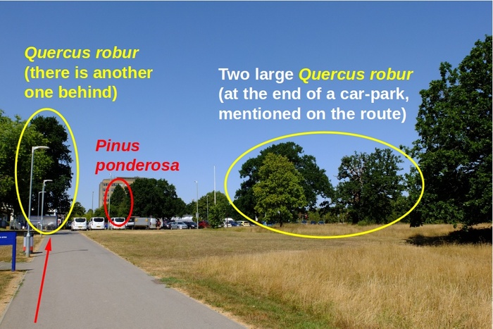 Photo giving directions for the route