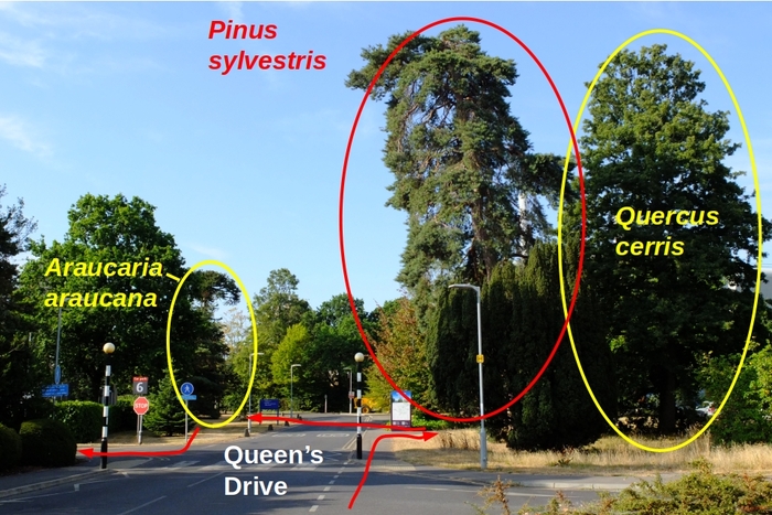 Photo giving directions for the route