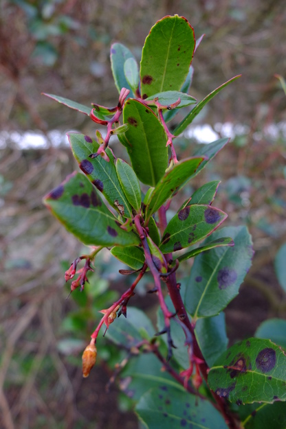 March close-up photo