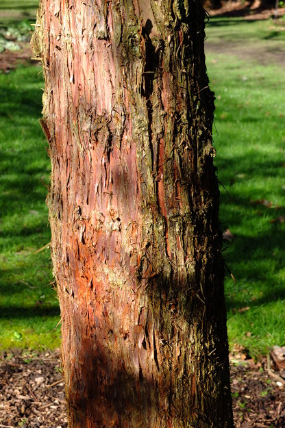 March close-up photo