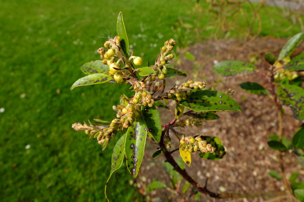 March close-up photo