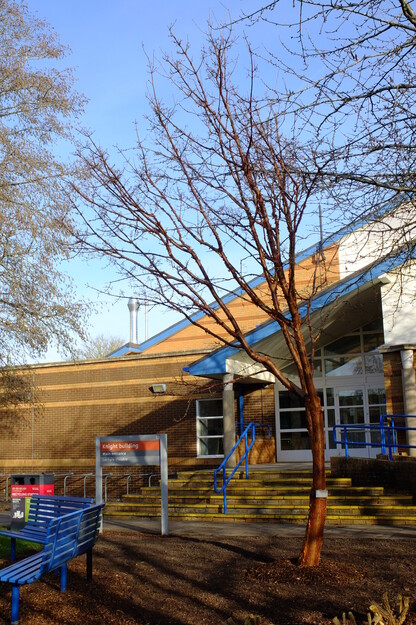 February tree photo