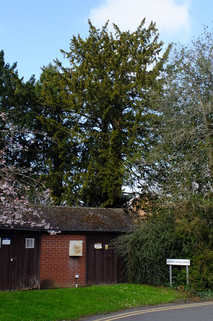 Park House Lodge tree photo