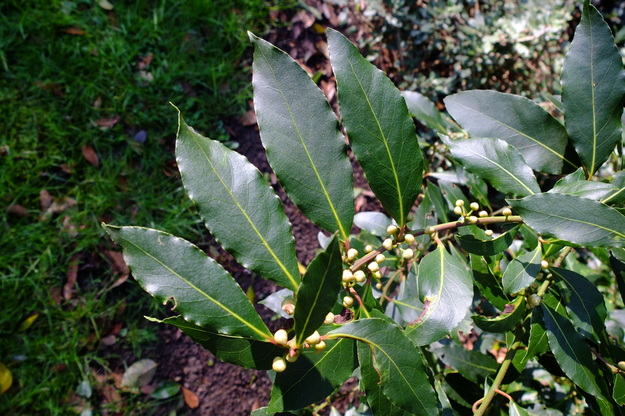 March close-up photo