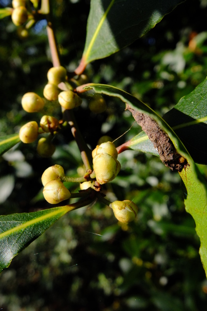 March close-up photo