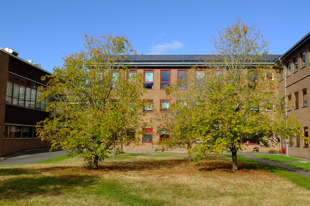 September tree photo