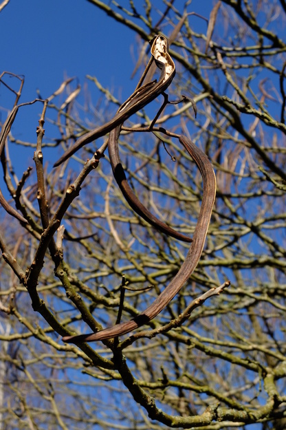March close-up photo