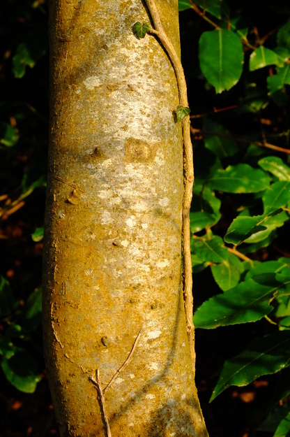 March close-up photo