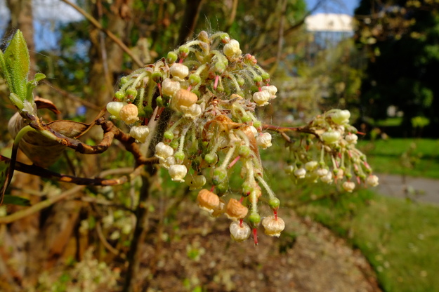 May close-up photo