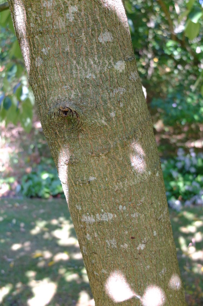 September close-up photo