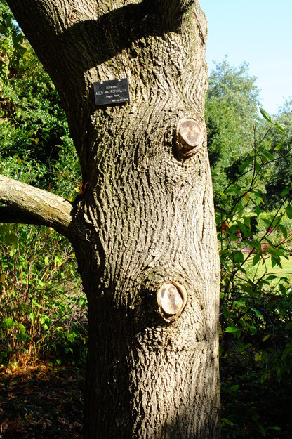 September close-up photo