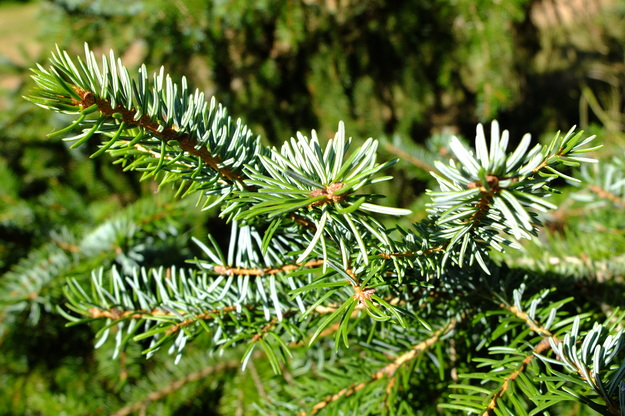 September close-up photo
