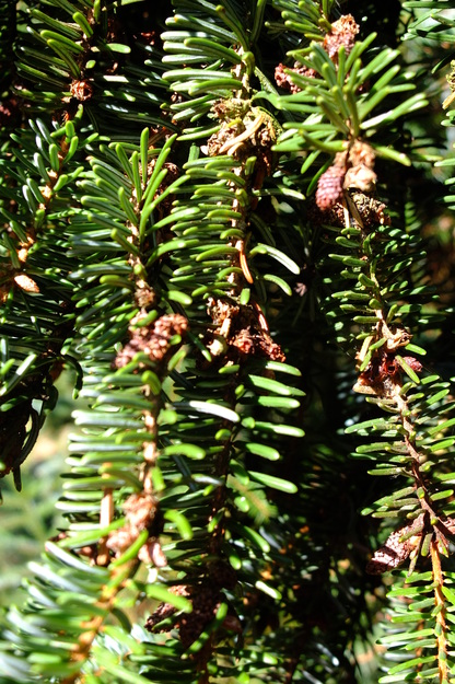 September close-up photo