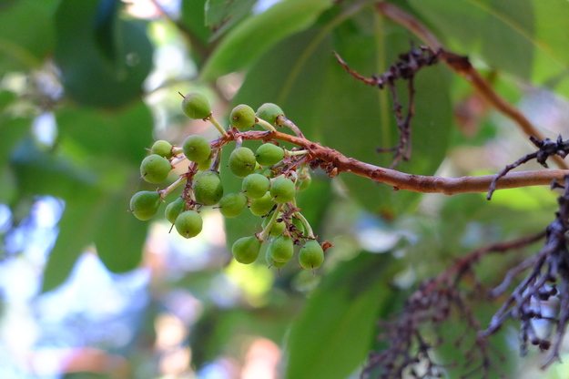 September close-up photo