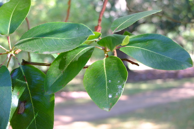 September close-up photo