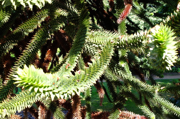 September close-up photo