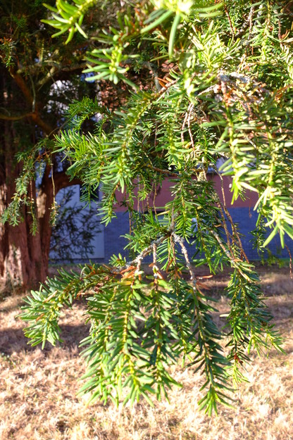 September close-up photo