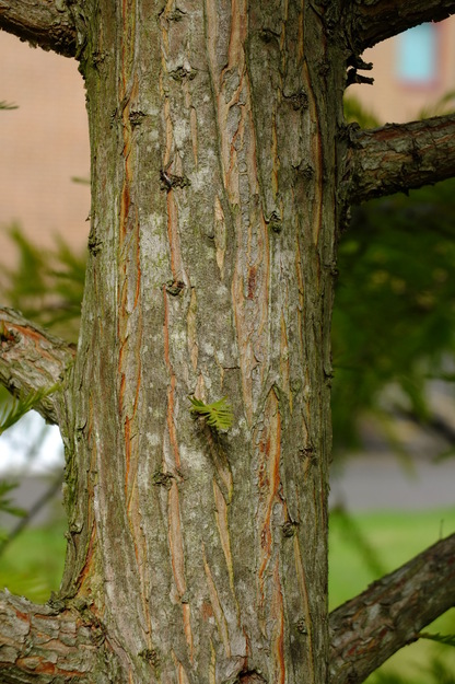 September close-up photo