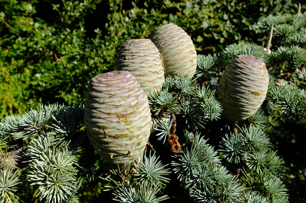 September close-up photo