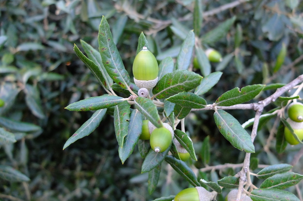 September close-up photo