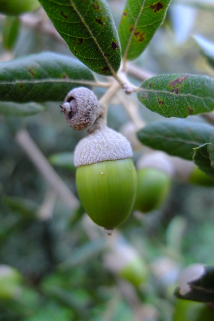 September close-up photo