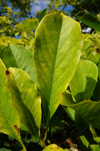 September close-up photo
