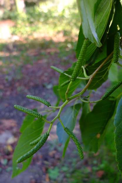 September close-up photo