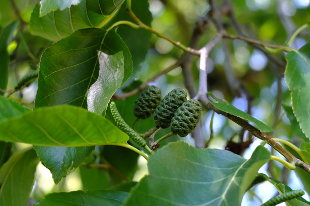 September close-up photo