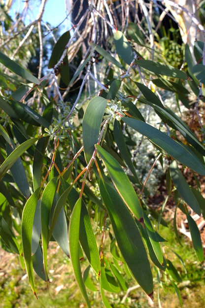 September close-up photo