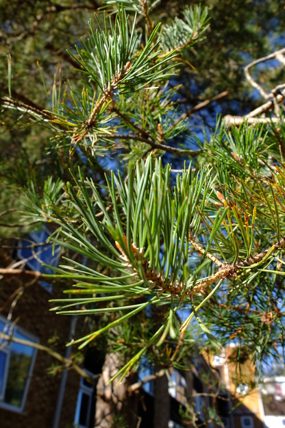 September close-up photo
