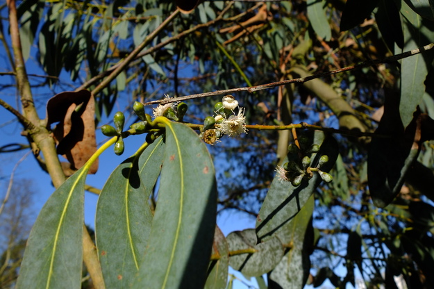 March close-up photo