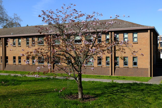 April tree photo