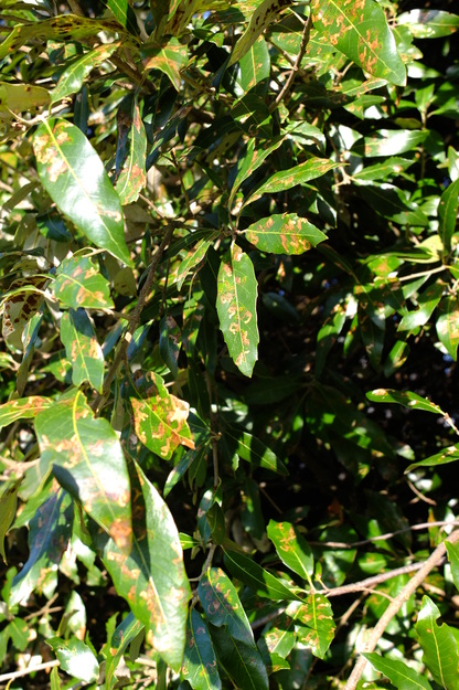 March close-up photo