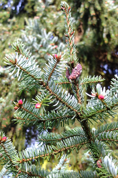 March close-up photo
