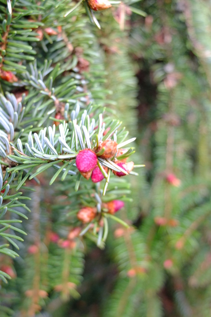March close-up photo